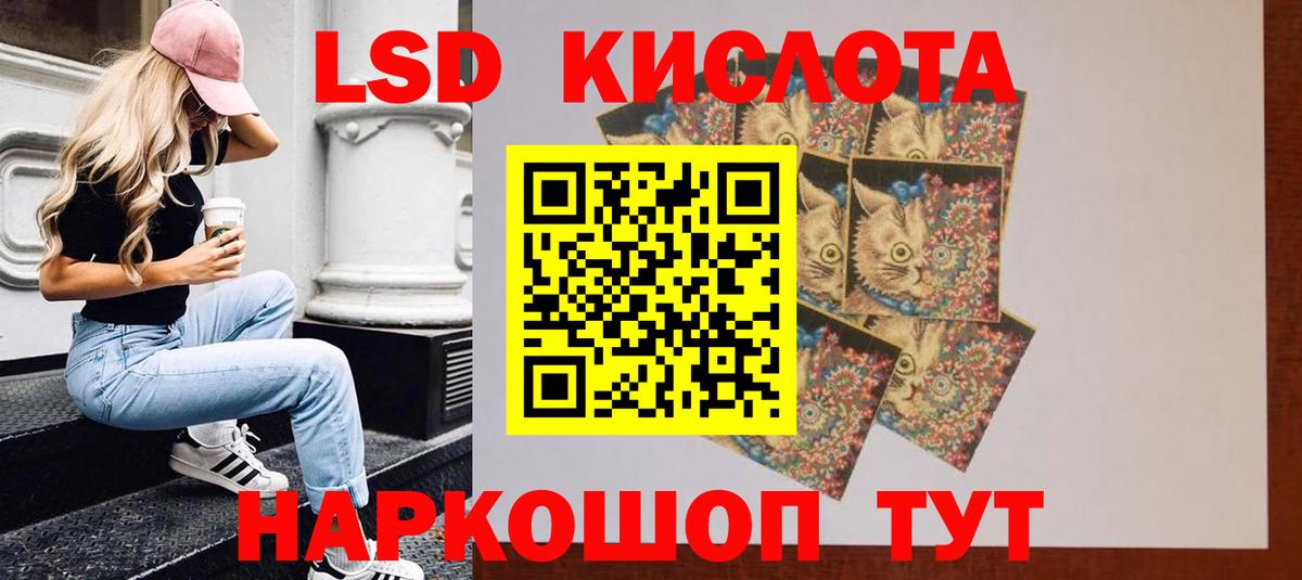 Курчалой  ЛСД экстази кислота  LSD-25 экстази  ЛСД экстази кислота  Вход с VPN 