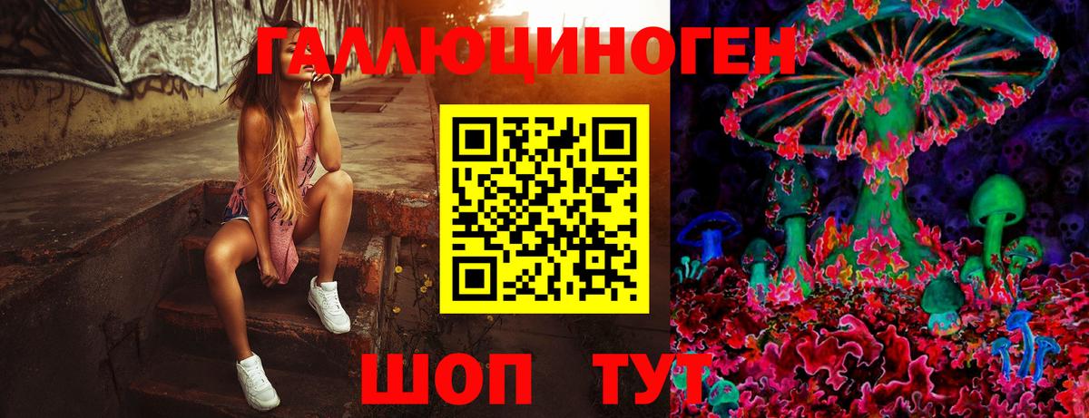 Псилоцибиновые грибы ЛСД  Вход с VPN  Курчалой 