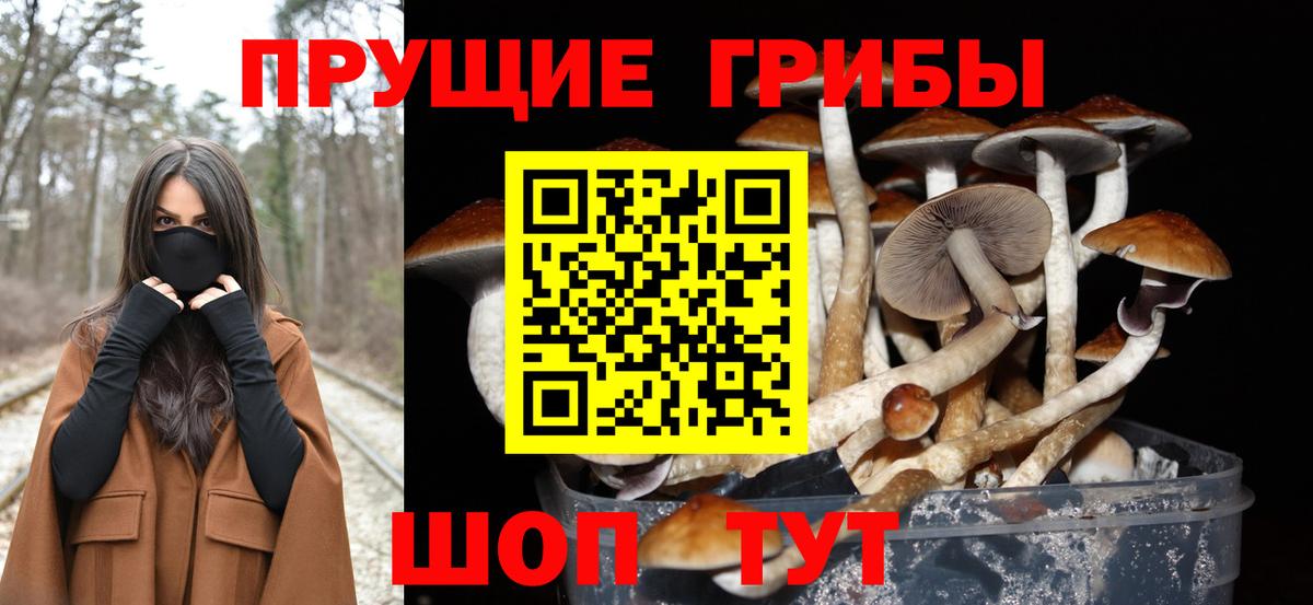 Галлюциногенные грибы MAGIC MUSHROOMS Курчалой